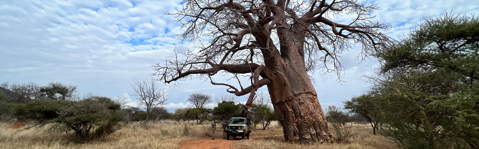 Hunting in Africa