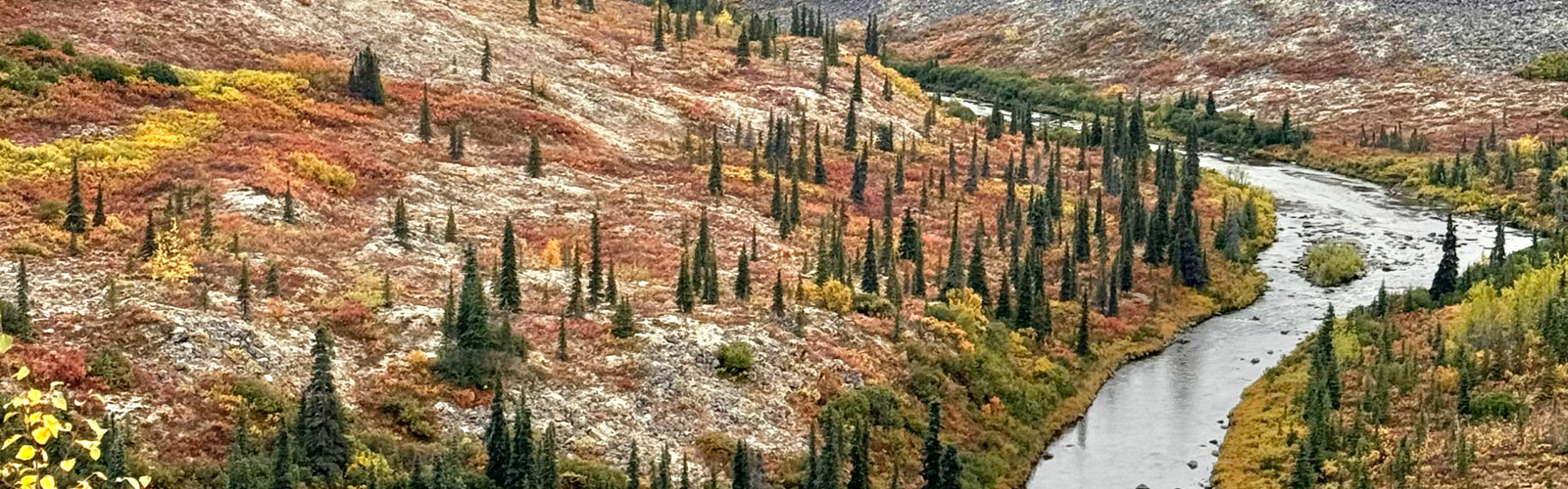 Hunting in Alaska
